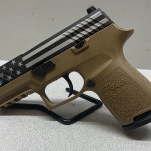 Sig Sauer P320 9mm Semi-Automatic Pistol w/1 Magazine 