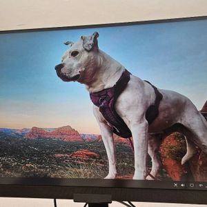 BenQ EW3280U Premium Monitor 32" 4K IPS UHD HDMI, USB-C