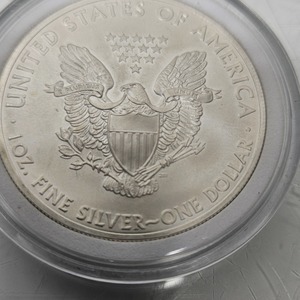United States American Silver Eagle Liberty 1oz One Dollar Coin - 2013