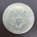 2017 Walking Liberty 1 Troy Oz Silver Coin 
