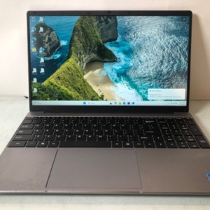 Apolosign NJP1561P Space Grey 15.6 Inch Display Windows 11 Home Laptop 512GB