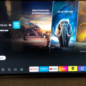 Insignia 58" Class LED 4K UHD Smart Fire TV Edition TV with Remote