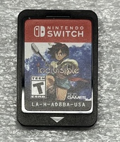 Nintendo Switch Game Indivisible