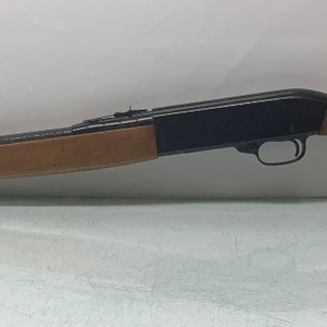 Ted Williams 3T .22LR/SR Semi-Automatic Rifle 