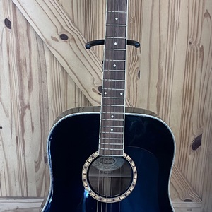 Washburn Dreadnought Acoustic Guitar Black D100DLBK 