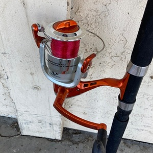 Shakespeare Catch Fish