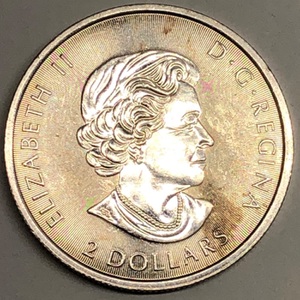 2020 Canada $2 1/2oz Red Tailed Hawk .9999 Fine Silver