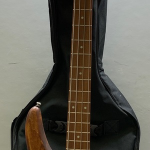 Ibanez Gio GSR100EX 4 String Bass Guitar Mahogany Oil