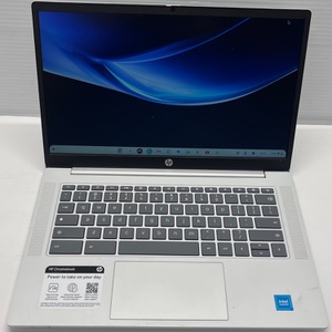 Hewlett Packard 14 inch Chromebook Glacier Silver 14a-nf0131wm